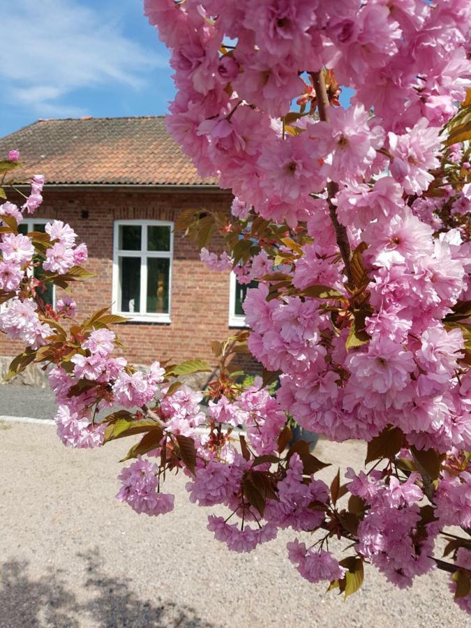 Hörlinge Guesthouse Finja Exteriör bild